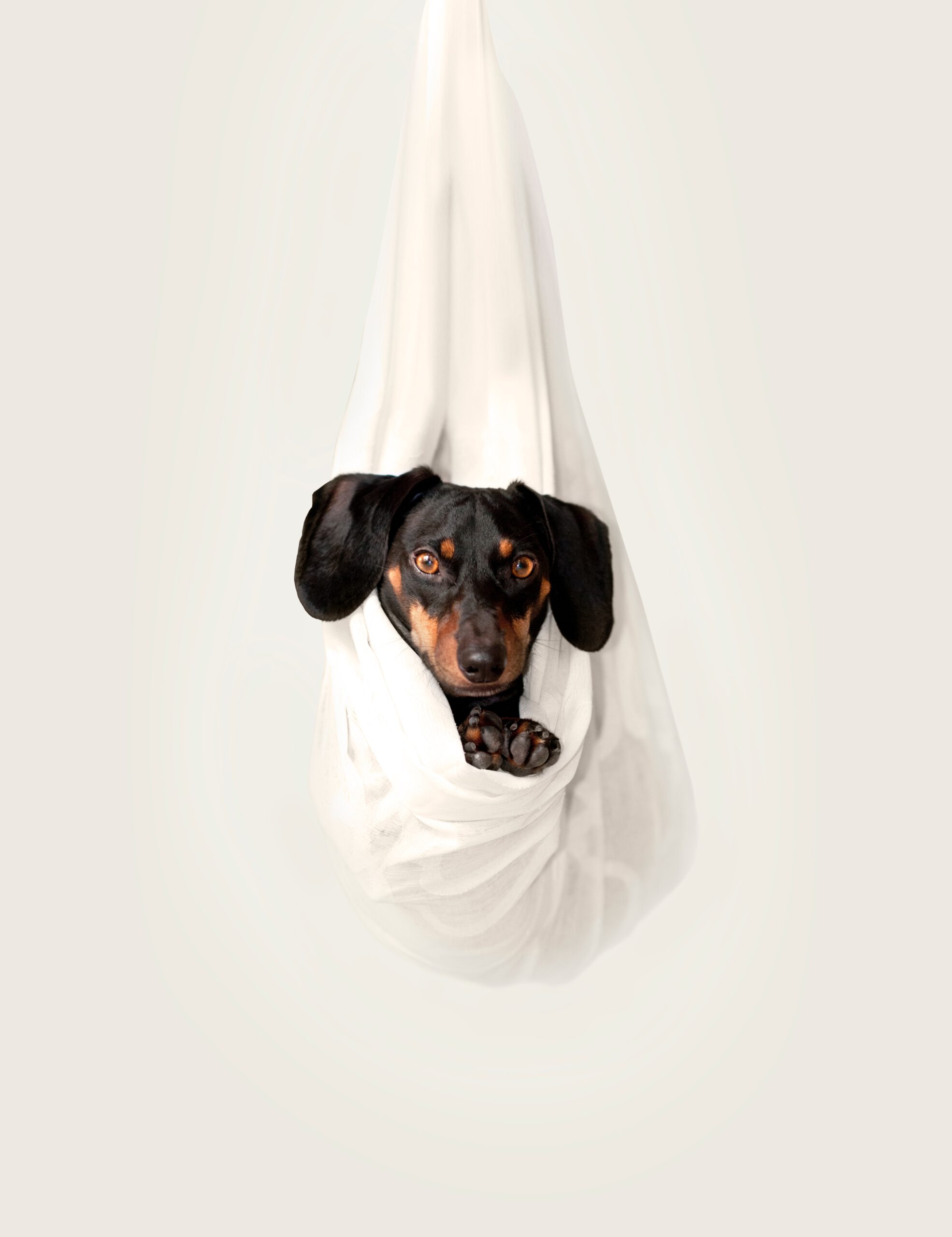 erda-estremera-D1wiHCovGJ0-unsplash erda-estremera-D1wiHCovGJ0-unsplash