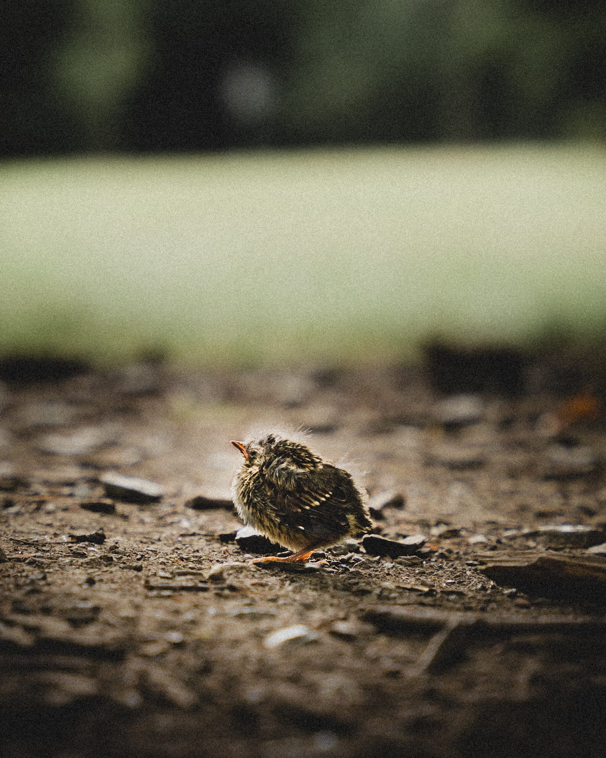 florian-weichert-ZM4Eh-MIUVU-unsplash florian-weichert-ZM4Eh-MIUVU-unsplash