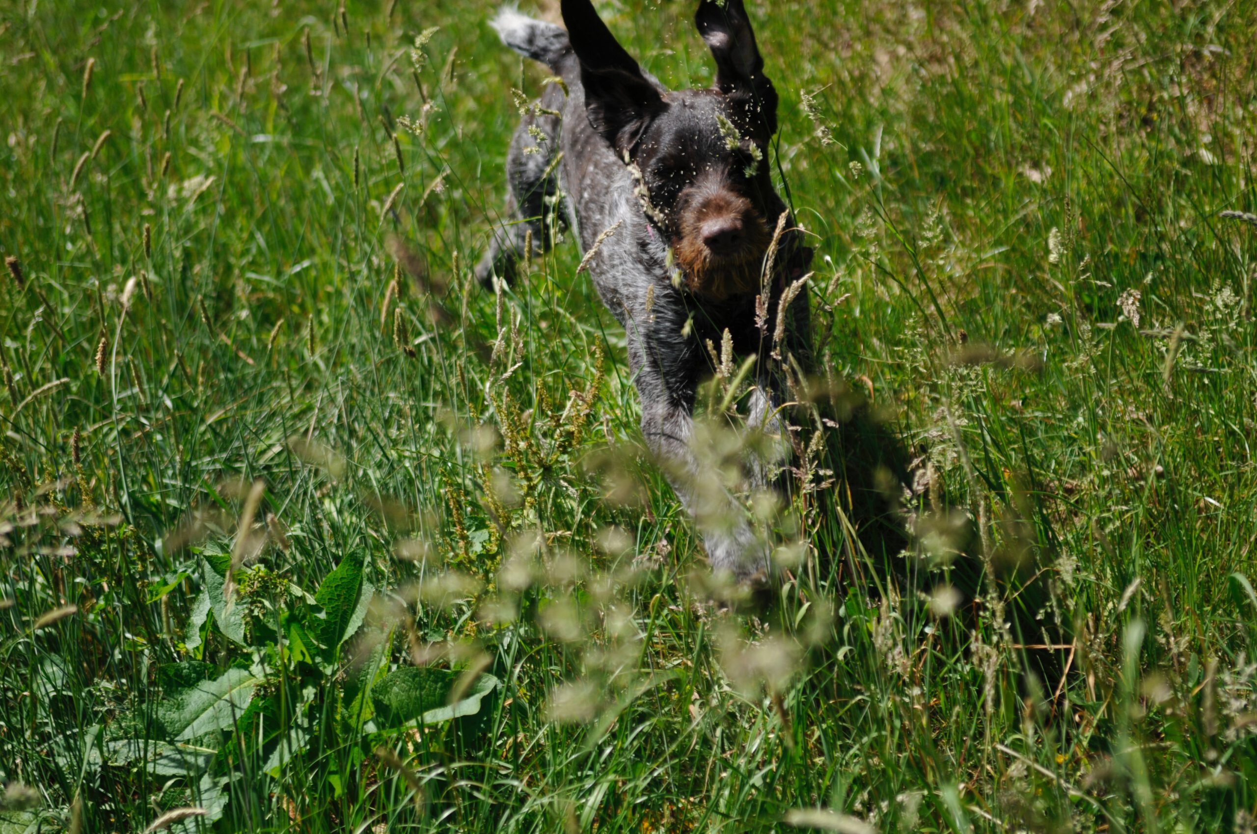 gero-camp-iiJGdyyNrac-unsplash gero-camp-iiJGdyyNrac-unsplash