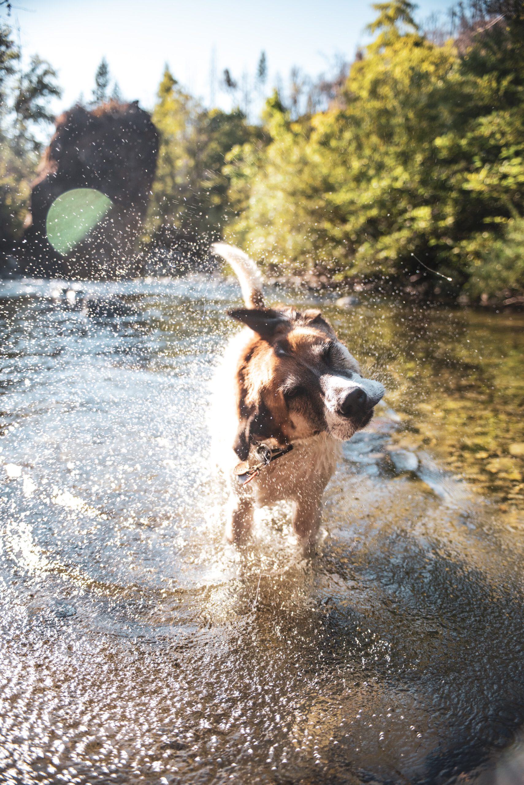 mckayla-crump-n6zxYB2ahMg-unsplash mckayla-crump-n6zxYB2ahMg-unsplash