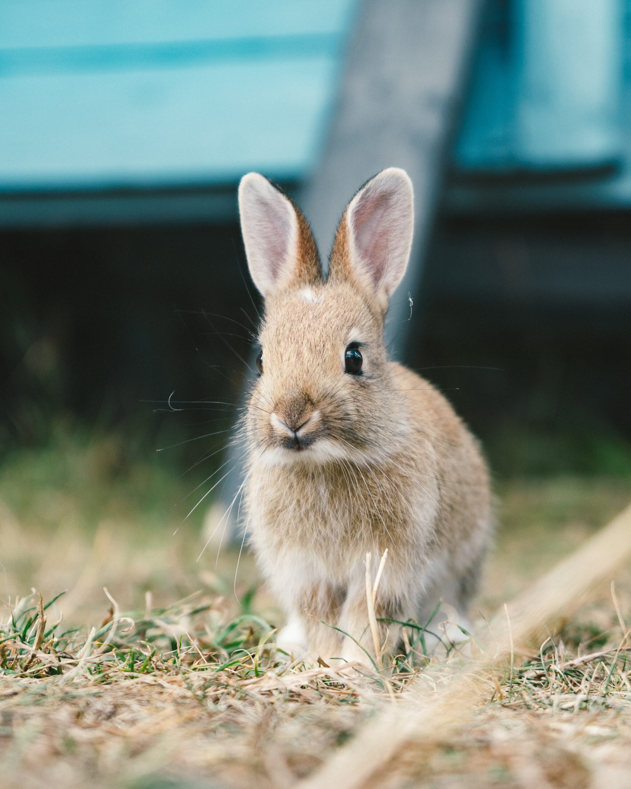 daniel-mccarthy-themccarthy-TRrC46LBfwc-unsplash daniel-mccarthy-themccarthy-TRrC46LBfwc-unsplash